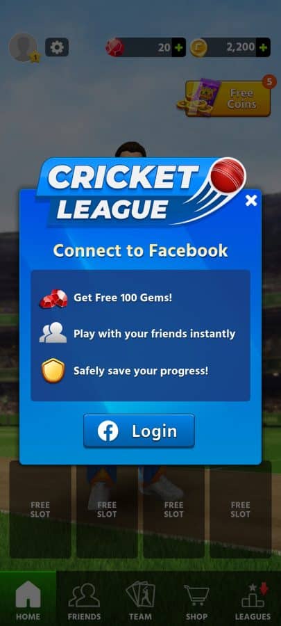 Enjoy The Ultimate Cricket Experience