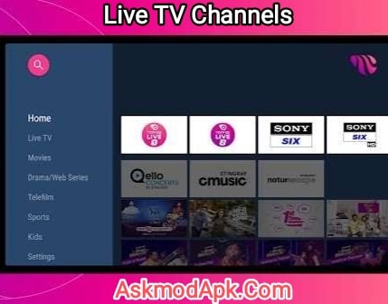 Play All Live TV Channels By Toffee TV